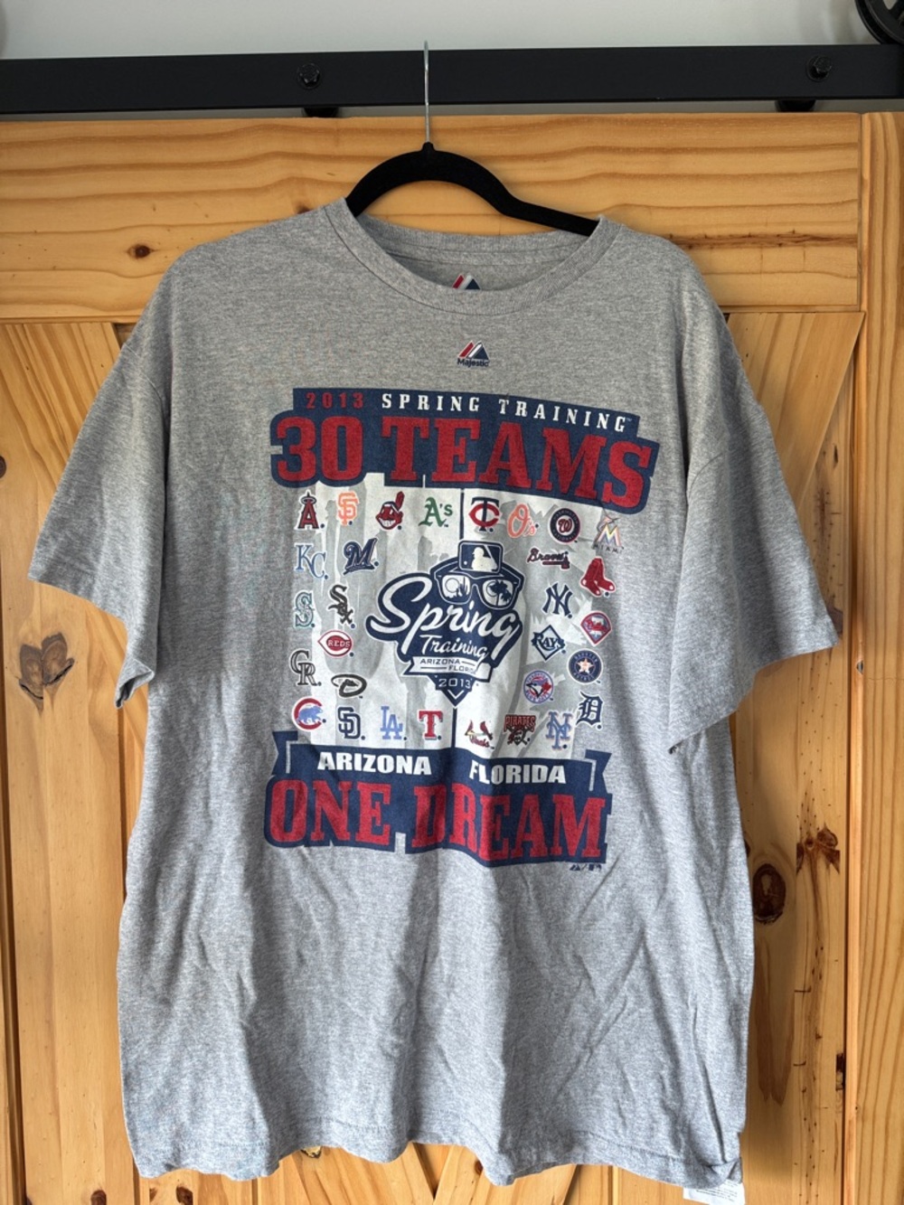 Majestic Gray Tee with Red and Navy 30 Teams Graphic 2013 mlb spring training